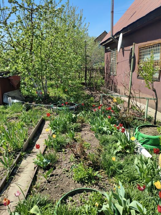 Продам дачу с/о Черёмушки, район Меновного