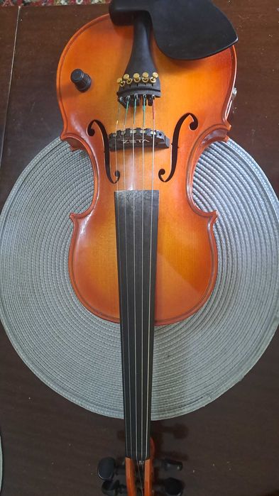 Vioara Zeta acustic