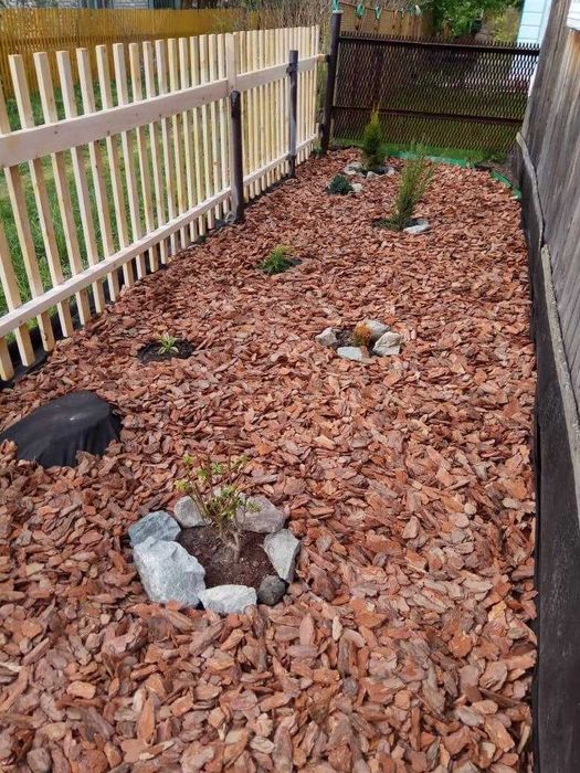 Мульча из лиственницы