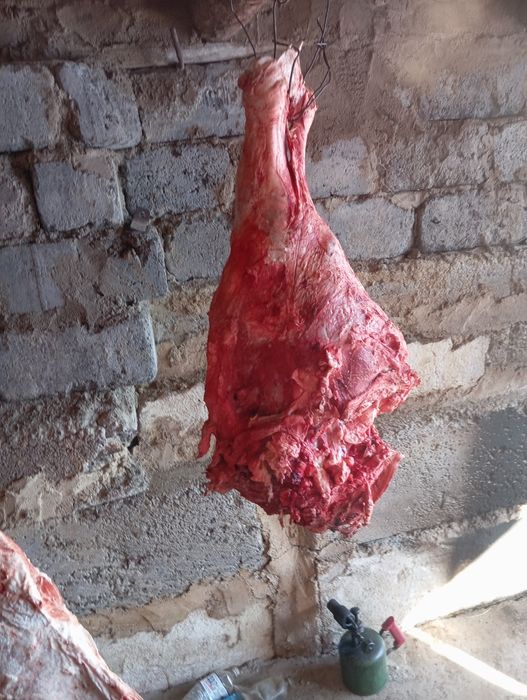 Говядина молодняк