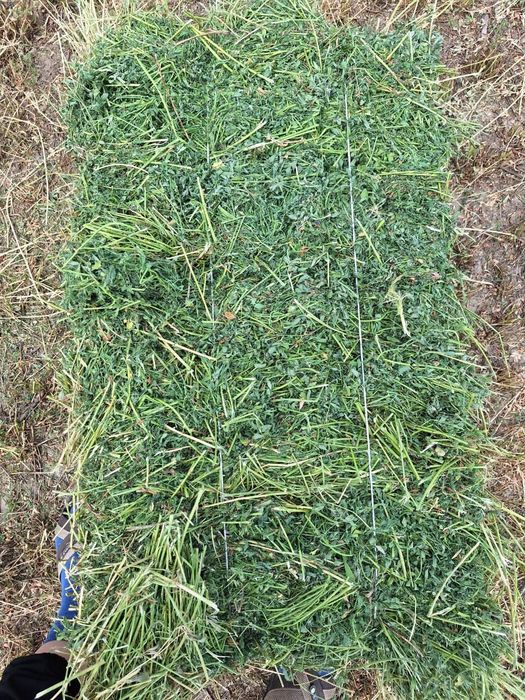 Продаж люцерна; сено(разнотравья) салома