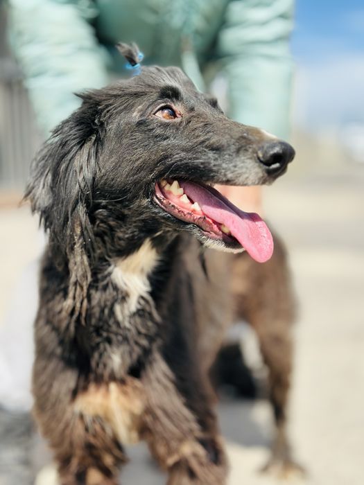 Тазы девочка. Ищет семью