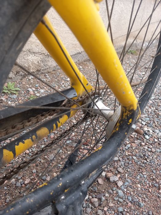 Велик ofo без камерка