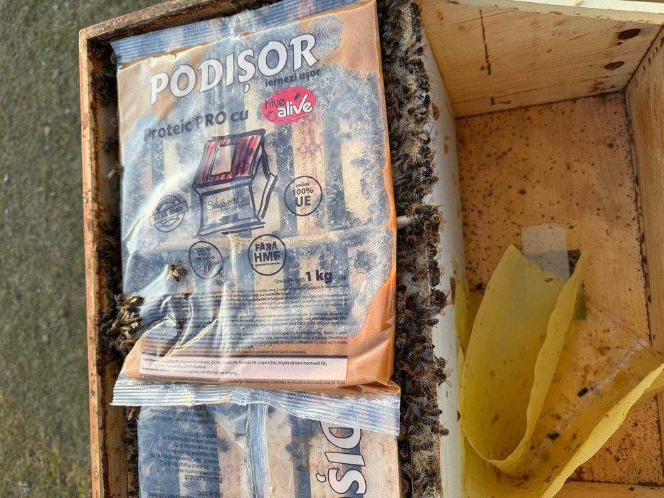 Vând Familii de albine