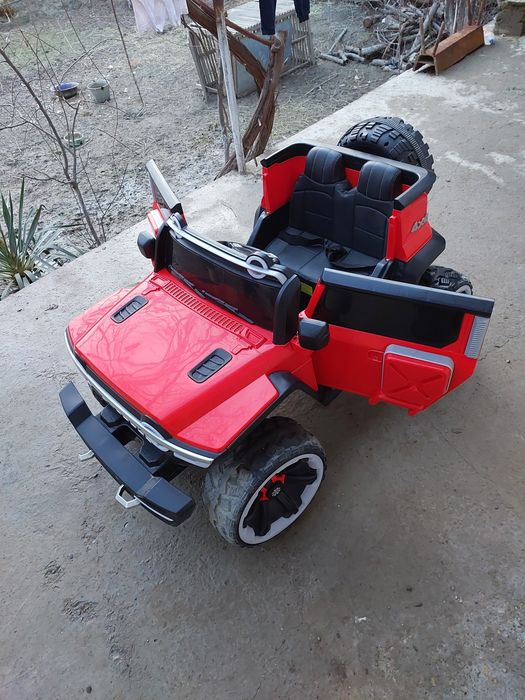 Detiski moshena pultlik