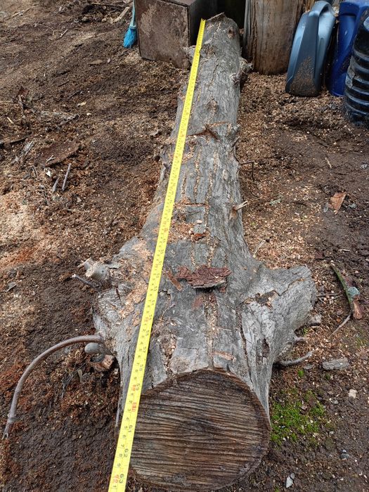 Орех дървен материал парче