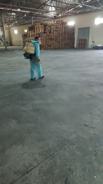 Дератизация кемрувчи  Карши  Дератизация от грызунов