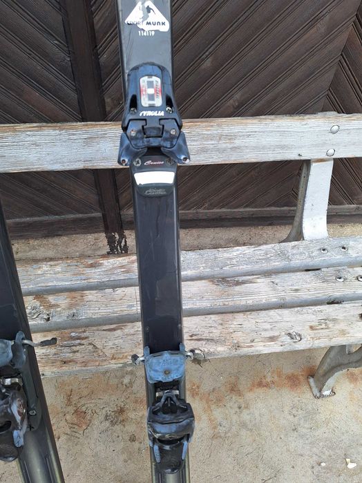 Продавам ски и щеки.