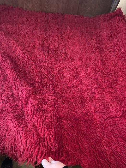 Шарени губери 3 вида