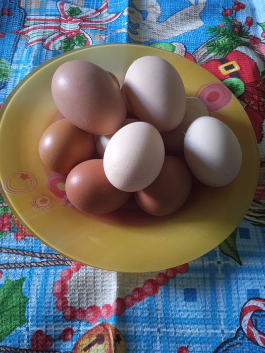 Яйцо куриное домашнее