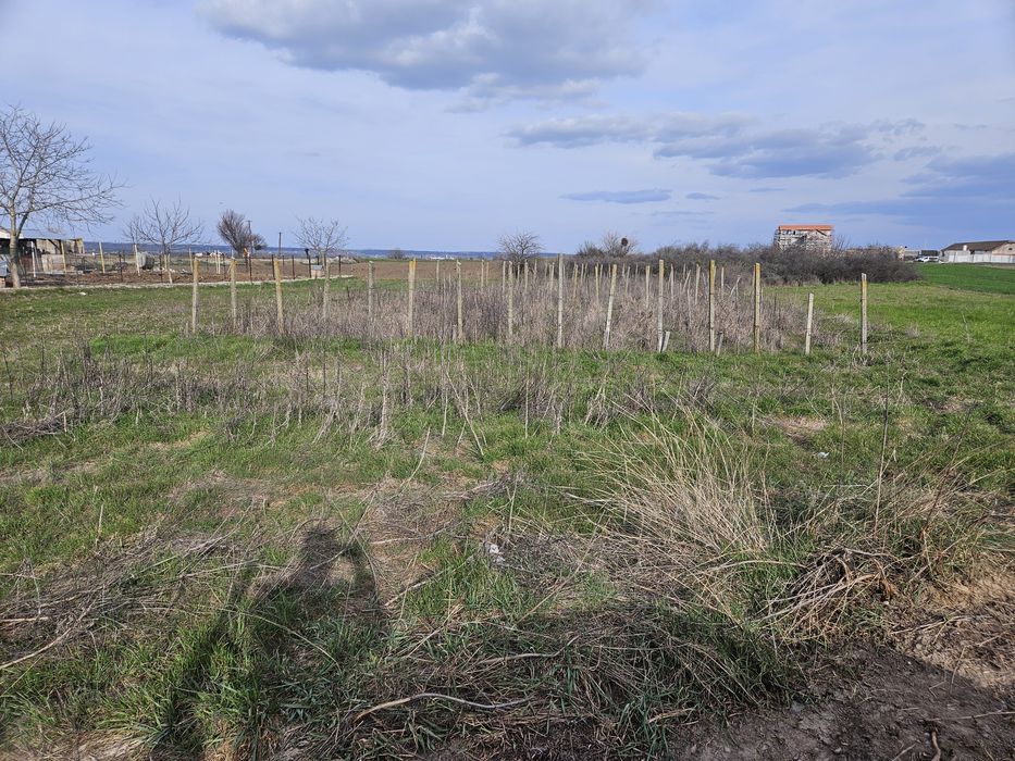 Teren intravilan 1000mp