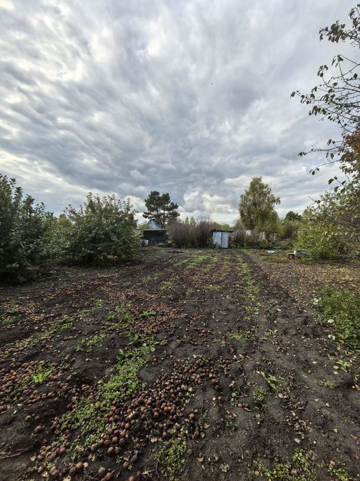 Продам дачу в СТ "Ракета"