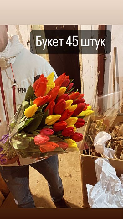 Крупный тюльпан в вашем городе самый крупный в казахстане