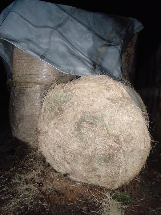 Vând baloți amestec trifoi lucernă