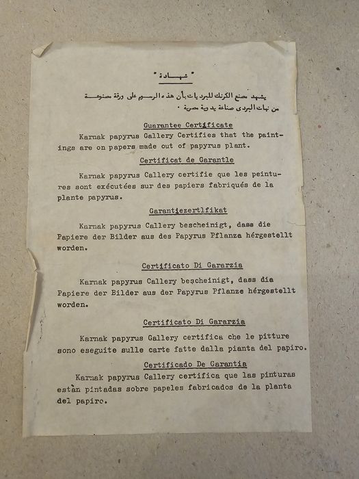 Папируси  в  рамка