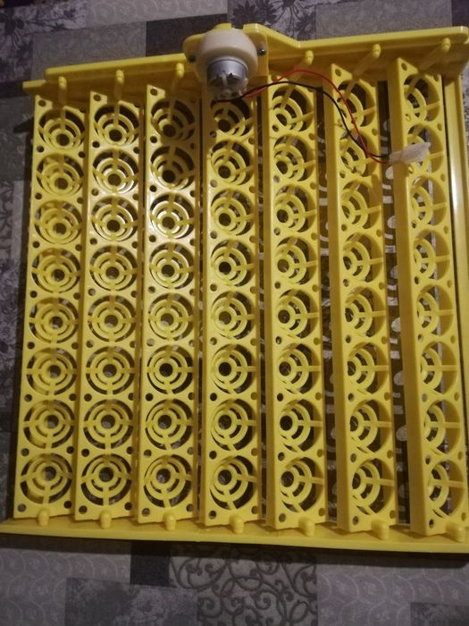 Инкубатор учун лоток