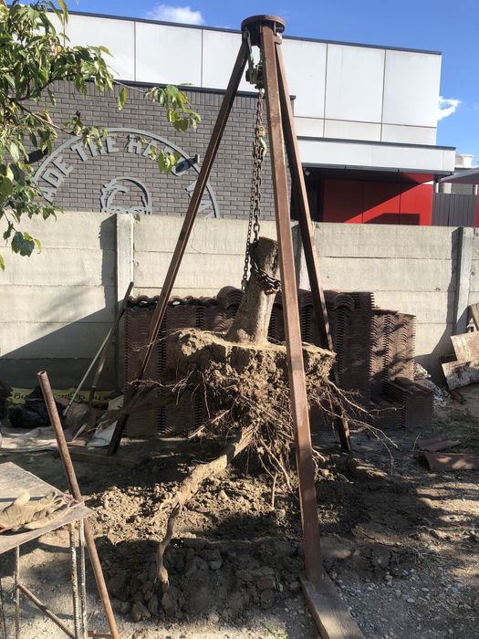 Tigla 2 lei/buc germania