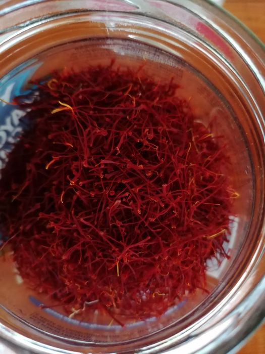 Шафран  холандски сорт