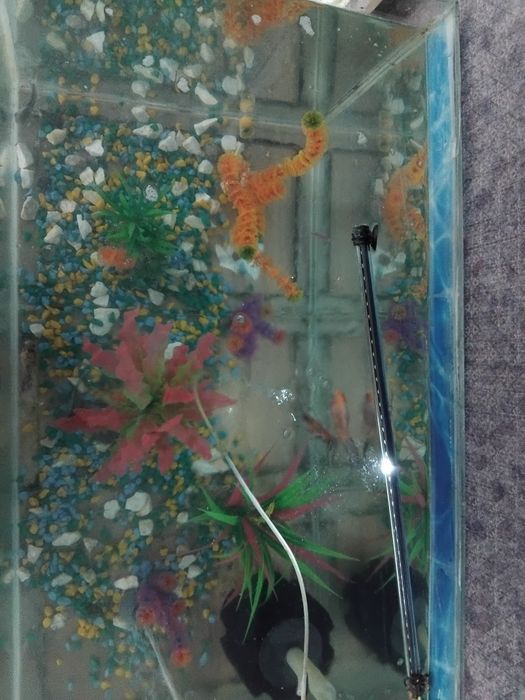 Аквариум бу с рыбками. Полный комплект.