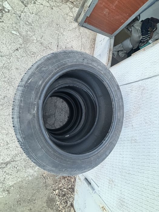 Шины Dunlop 225 55 R19