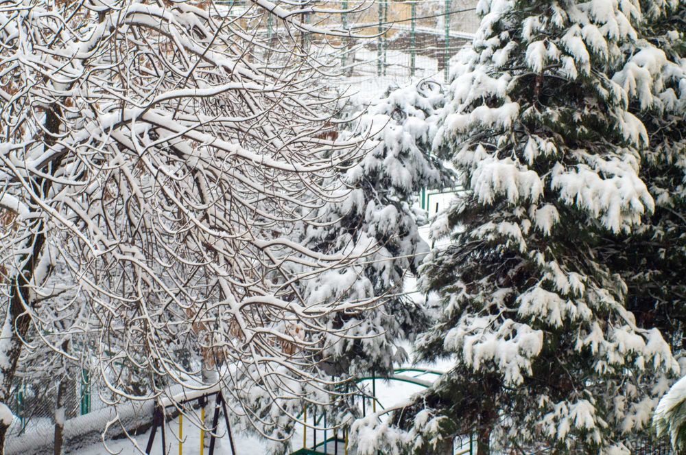 Vivitar 75-205 f/3.8