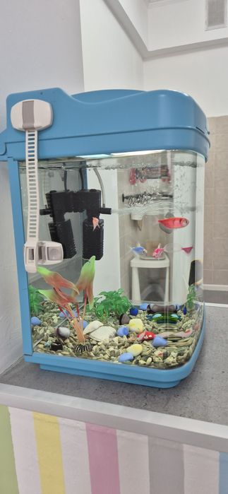 Аквариум с рыбками