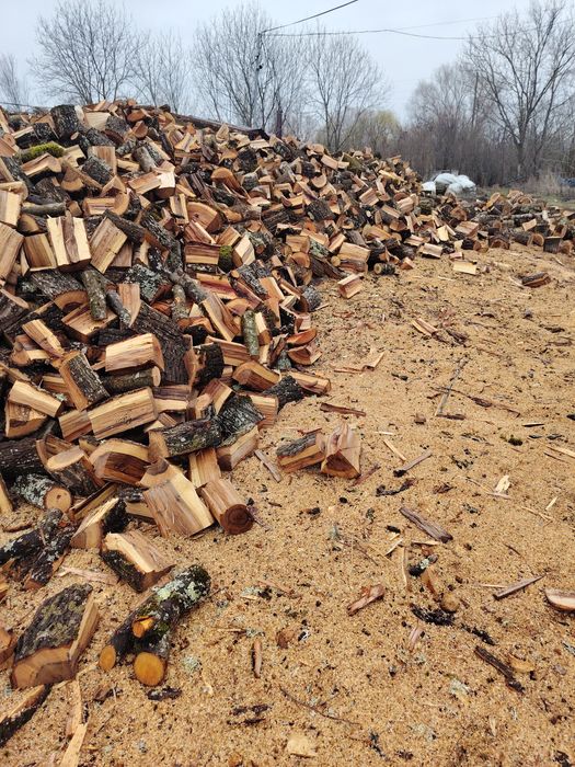 Предлагаме дърва за огрев!