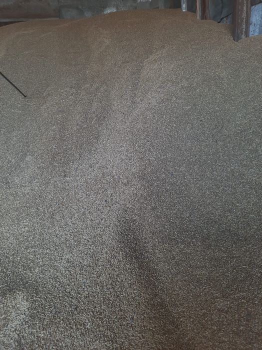 Ячмень хорошего качества