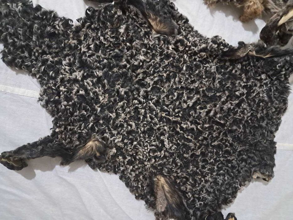 Qorako'l teri, каракуль шкурки, қоракўл тери сотилади