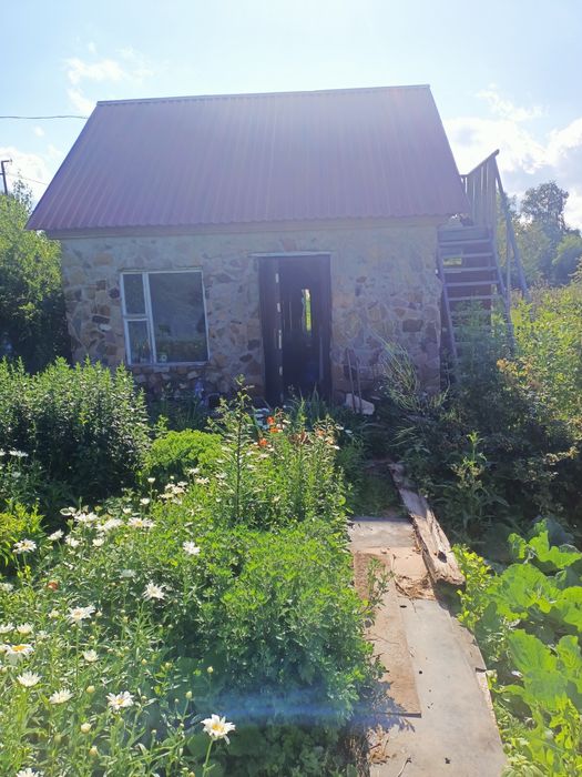 Дача пионер лагеря