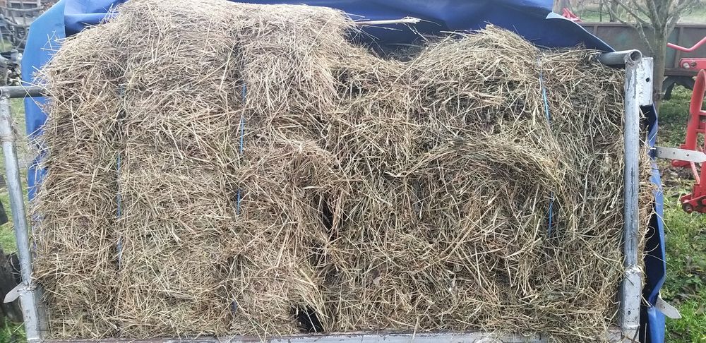 Baloti de otava    .