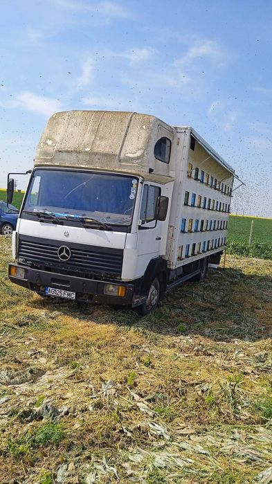 Vând camion omologat apicol, marca Mercedes-Benz