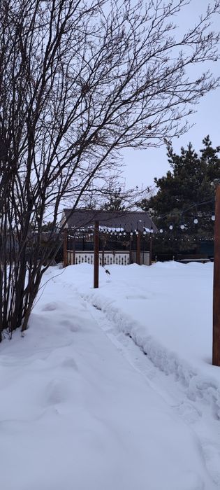 Дача 131 км Звёздочка