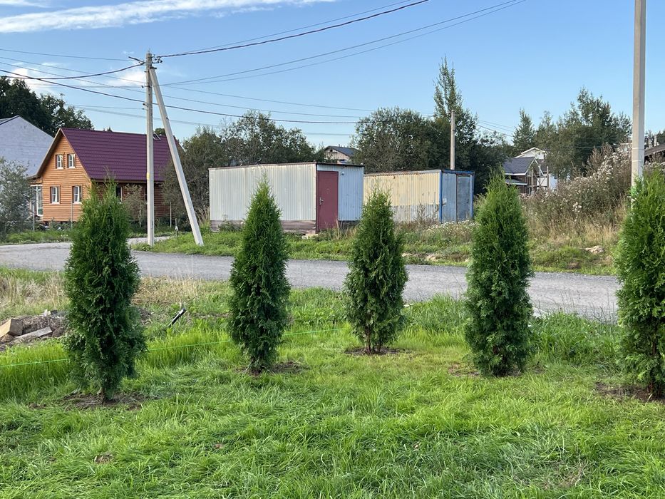 Автополив Газон посадка деревьев