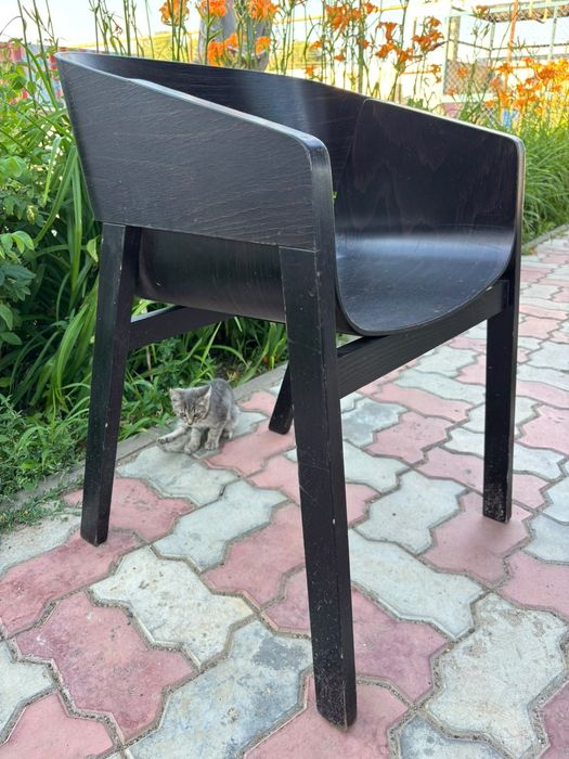 Продам стулья из дерева