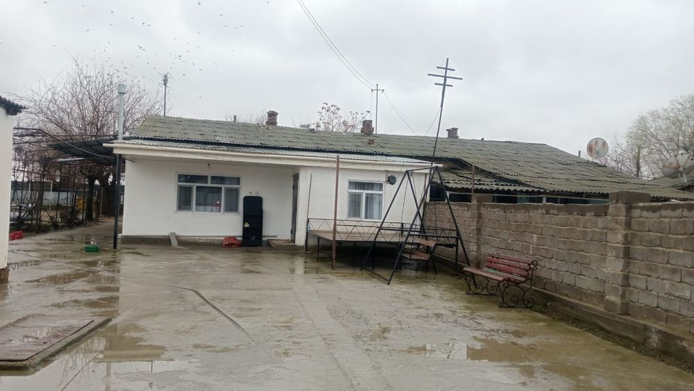 Уй сатылады. Жетысай қаласы