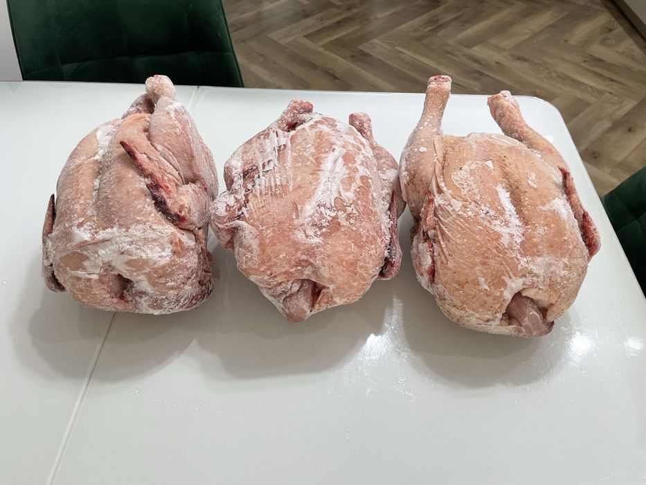 Бройлеры домашние