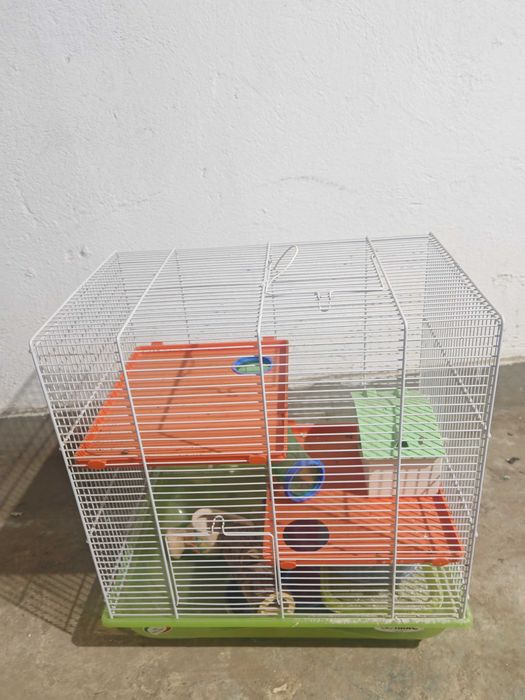 Cuști păsări de vanzare