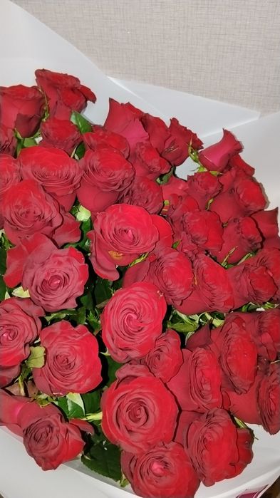 Продам цветы 51 роза и микс