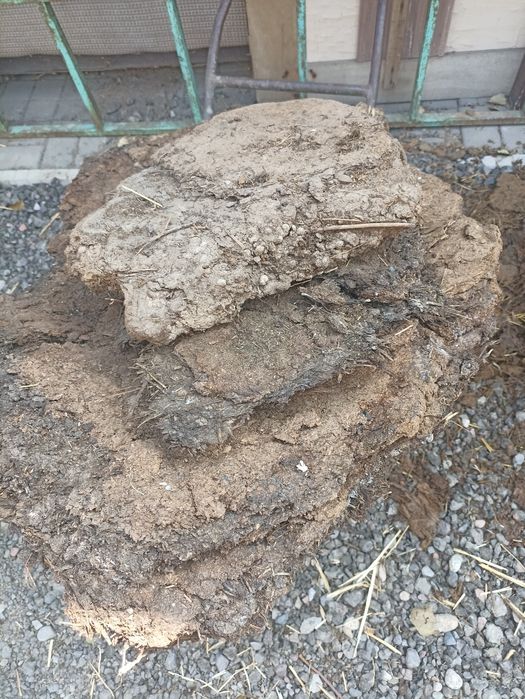 Продам навоз овечий.