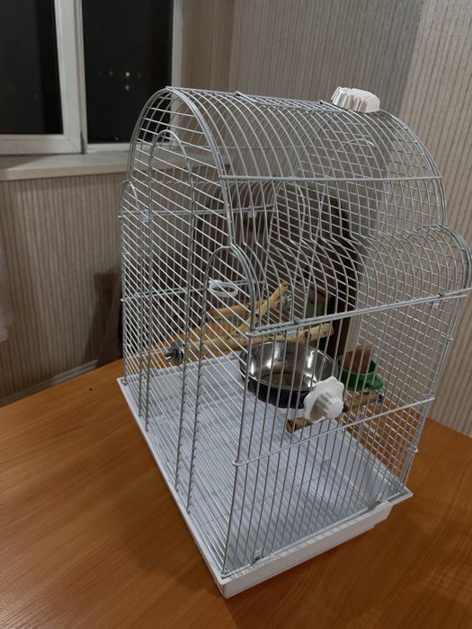Большая клетка для попугаев