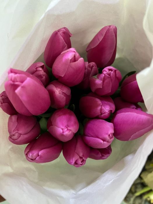 Букет красивых тюльпанов