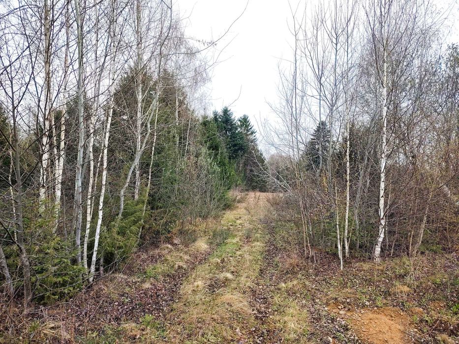 Teren Superb la Munte, Drăguș (BV) – Țara Făgărașului, zonă turistică, cu pârău, lângă Pârtia de Ski, Aventura Parc & Pizza Drăgus - 1000mp