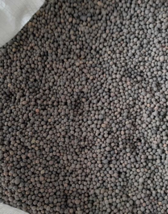 Samanta Măzăriche pt Borceag de primavara