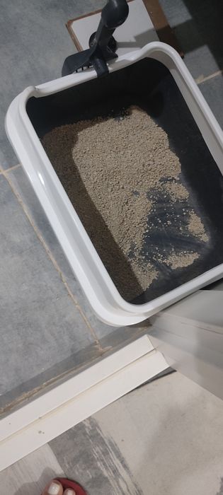 Отдам в добрые руки