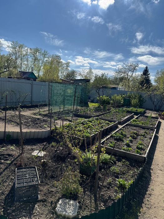 Дача теплица веранда