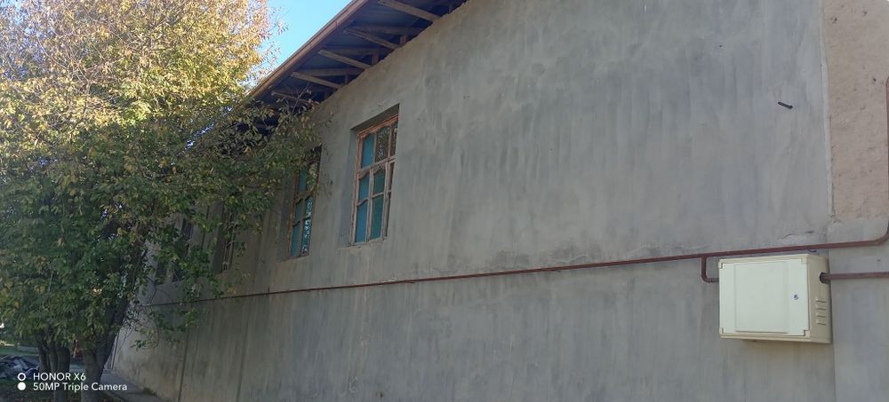 Zangiota tumanidagi honadon