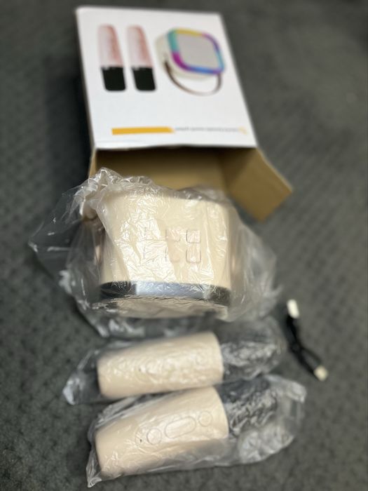 Мини Колонка с микрофонами