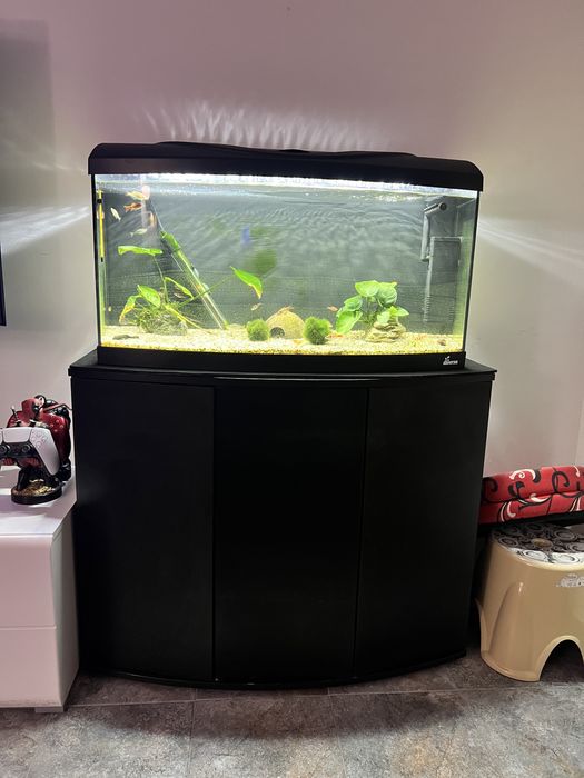 Vand acvariu 125l curbat cu tot cu stand