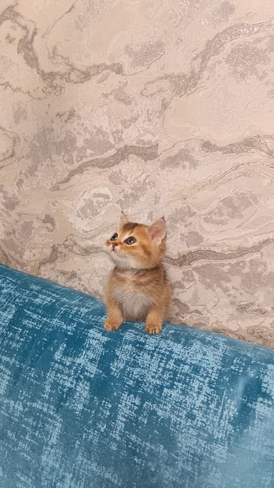 Здоровые милые малыши